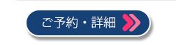 東京湾大華火祭-特別プラン-2026年10月24日(土)特別プランのご予約